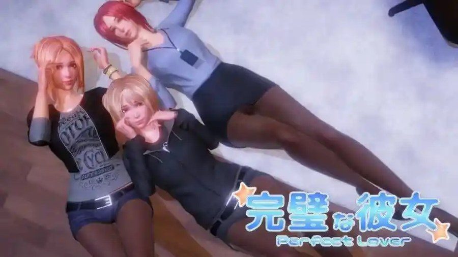 完美女友 资源内容 预览图